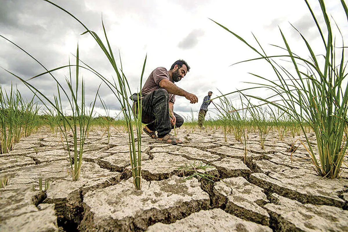 Wp Header Logo 376.png