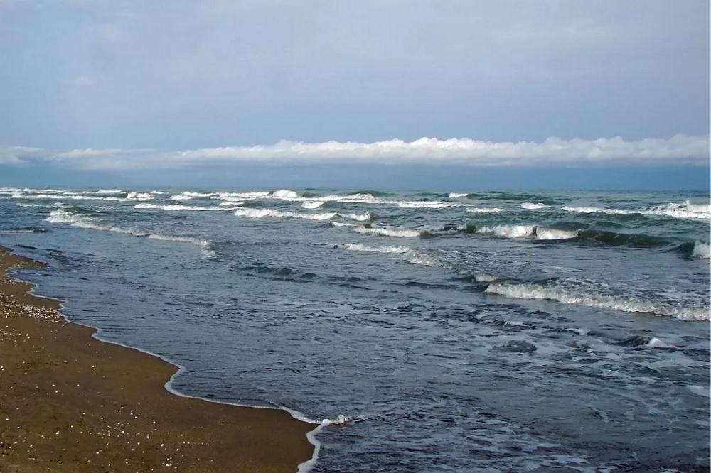 Wp Header Logo 3830.png