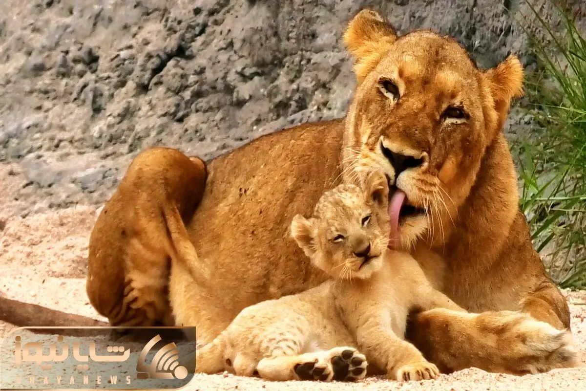 Wp Header Logo 3849.png