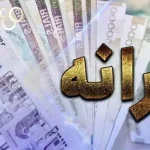 چگونه یارانه اعضای خانوار را جدا کنیم؟