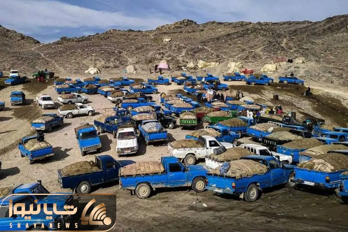 Wp Header Logo 3960.png