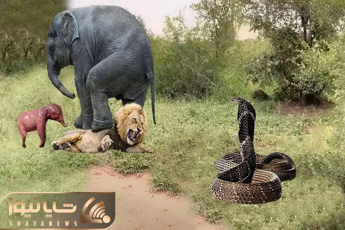 Wp Header Logo 4001.png