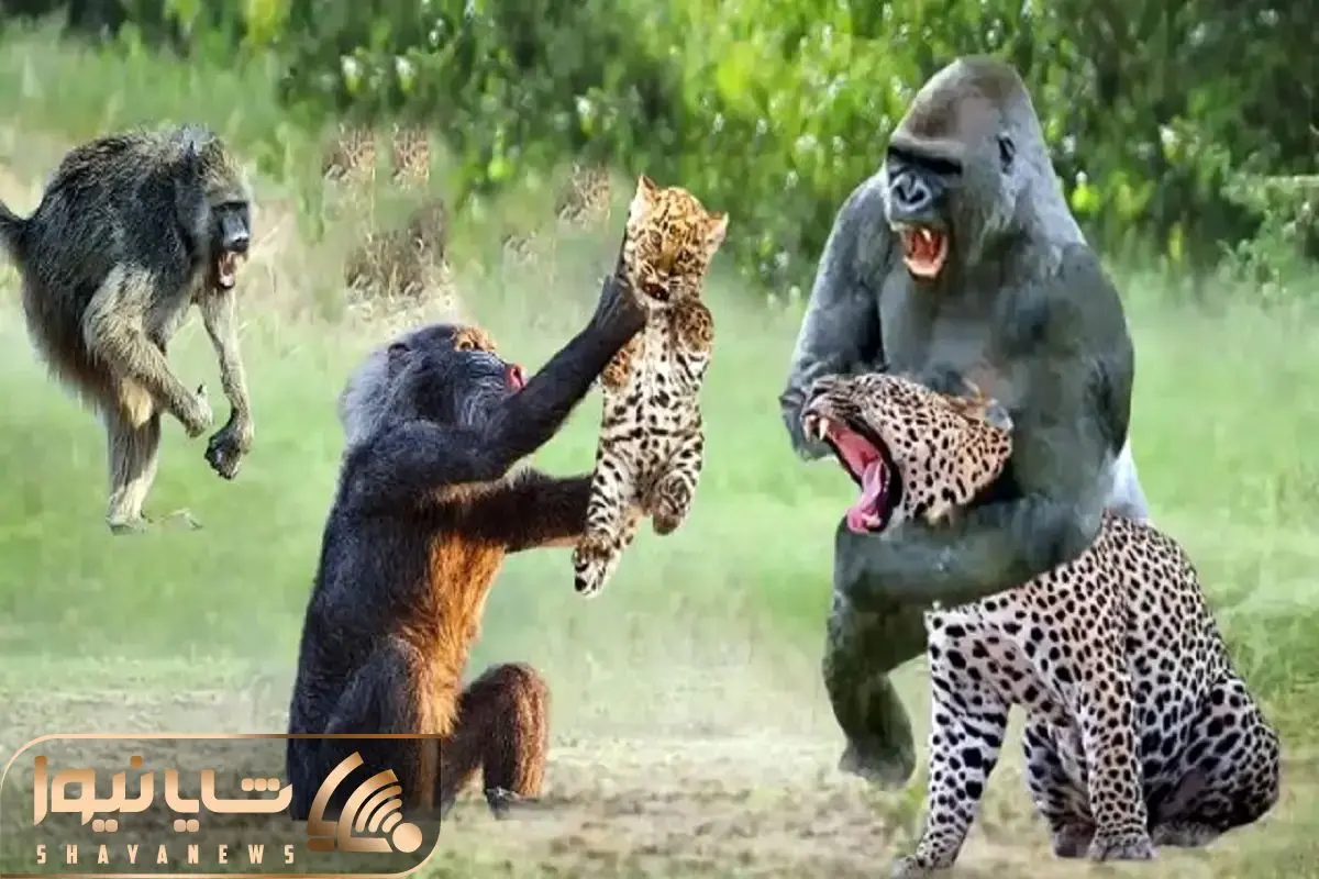 Wp Header Logo 4005.png