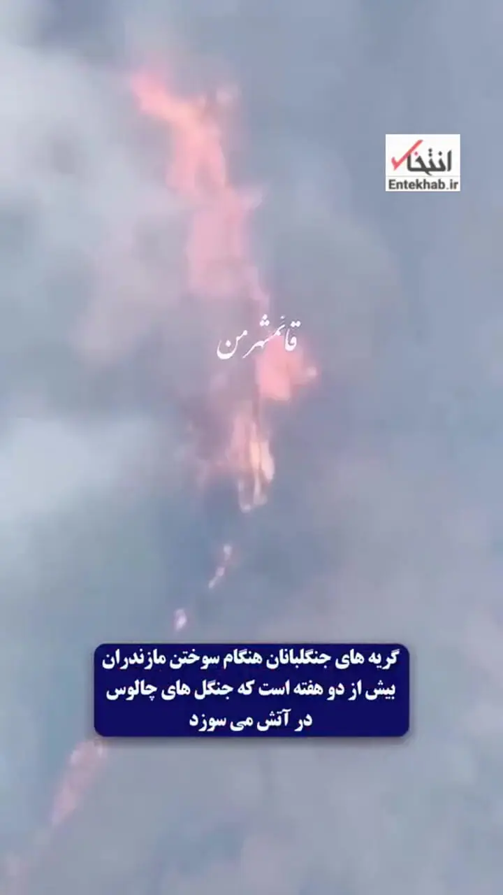 Wp Header Logo 4102.png