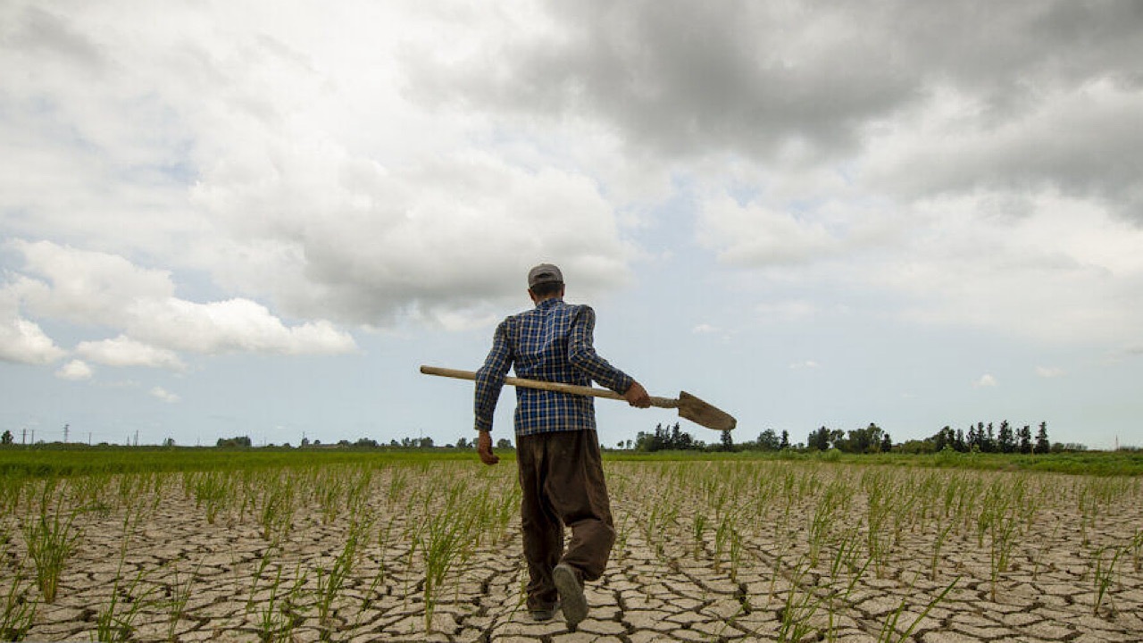 Wp Header Logo 411.png