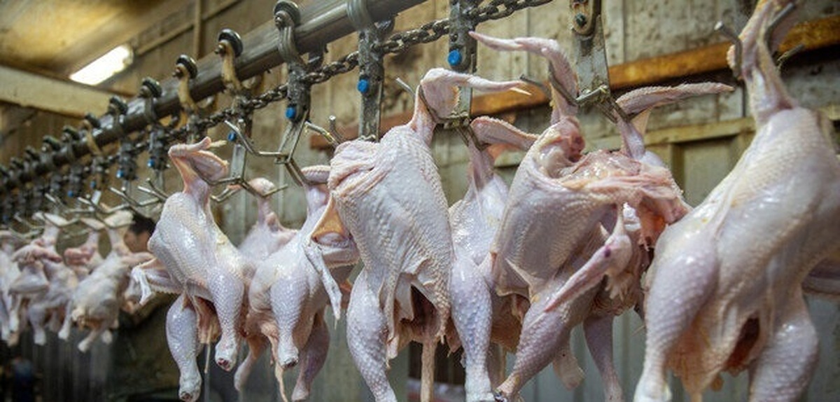 Wp Header Logo 4122.png