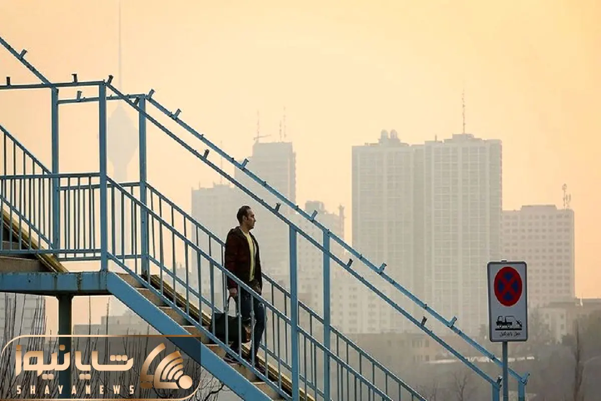 Wp Header Logo 4196.png