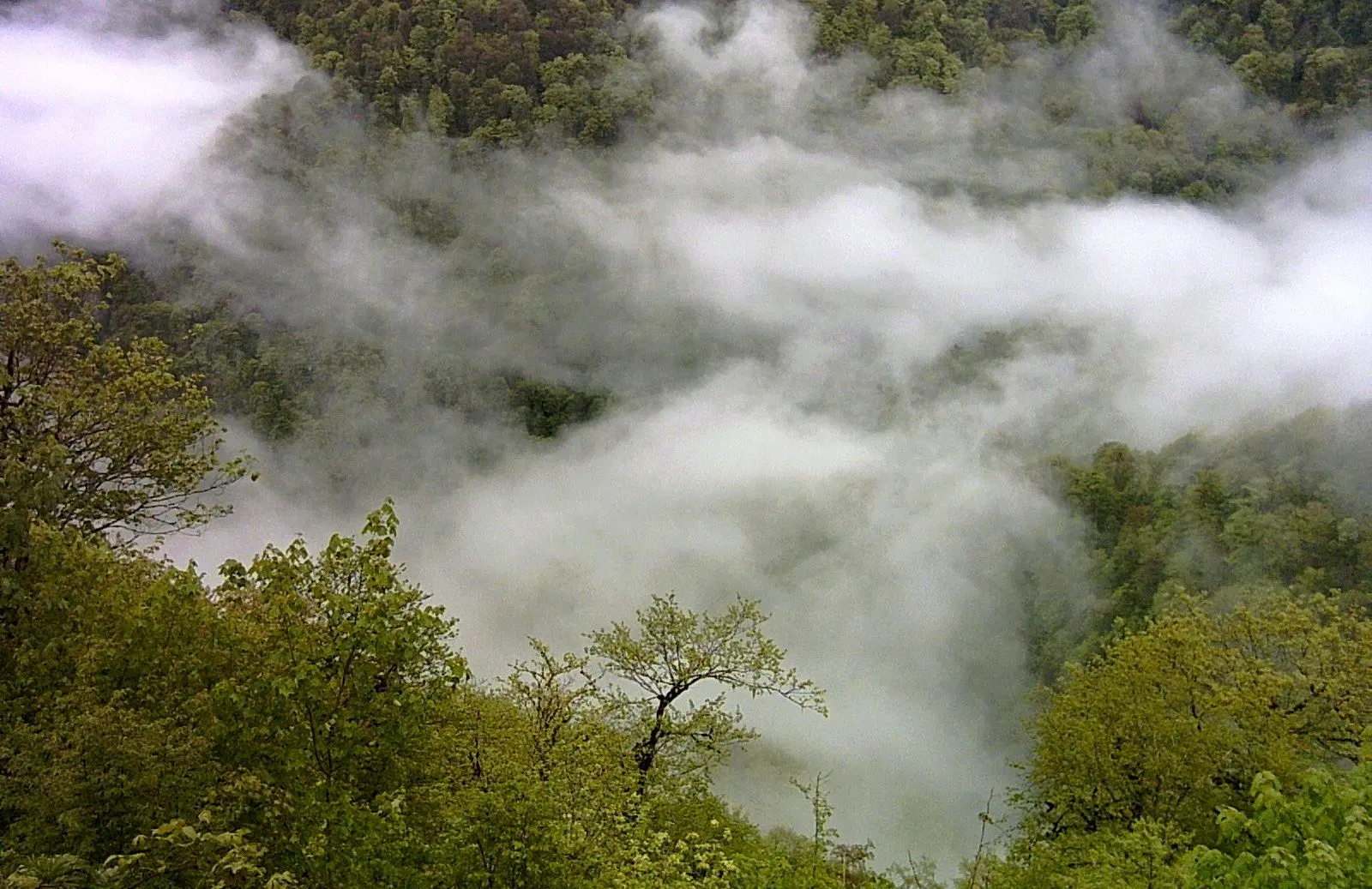 Wp Header Logo 4239.png