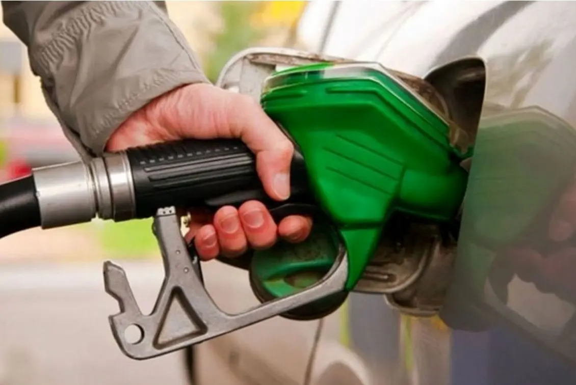 Wp Header Logo 4255.png