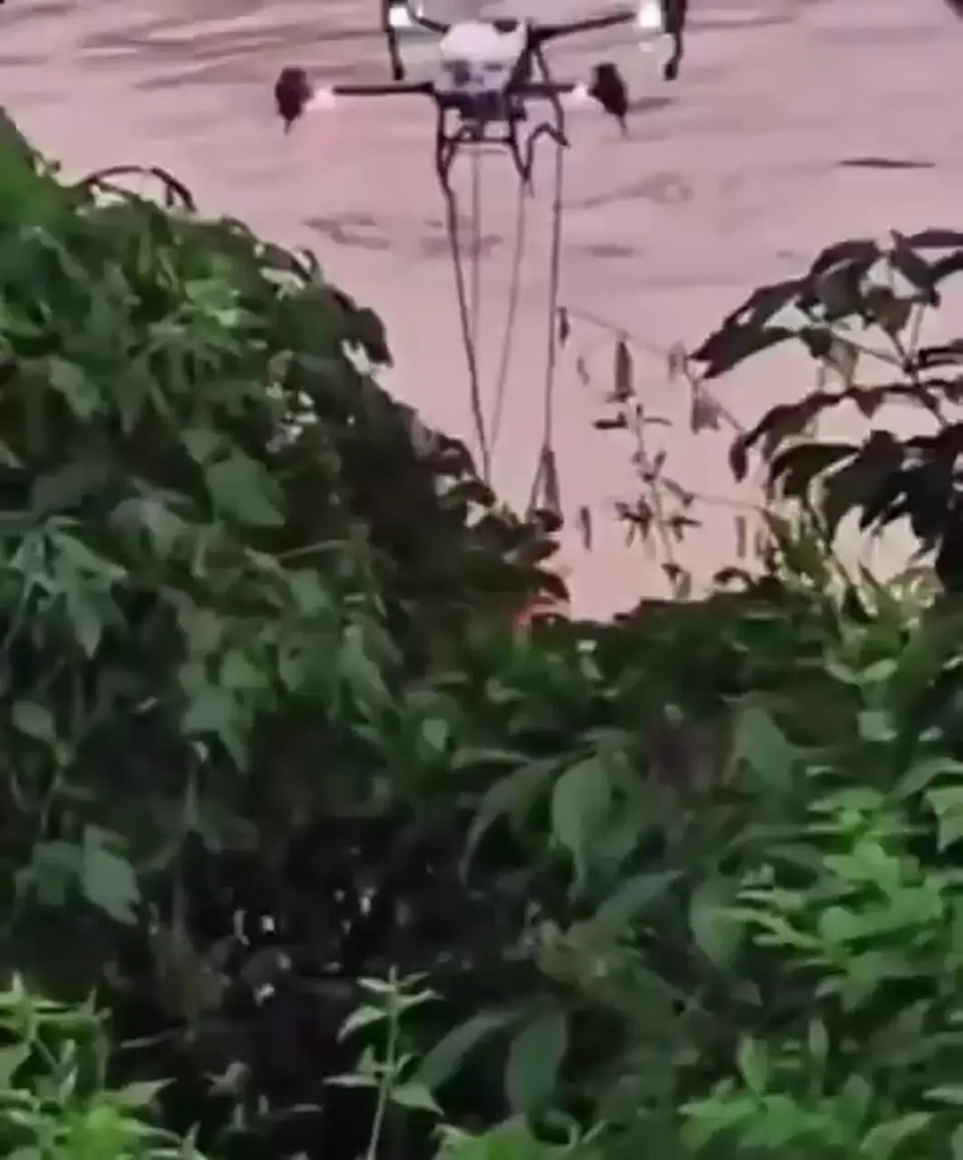 Wp Header Logo 4294.png