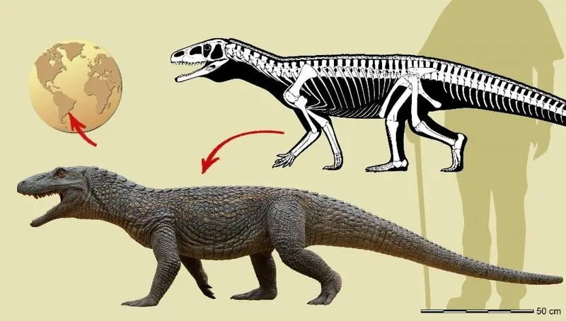 Wp Header Logo 4348.png