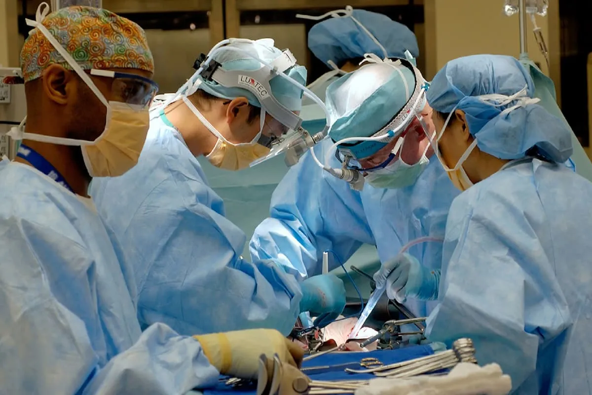 Wp Header Logo 4365.png