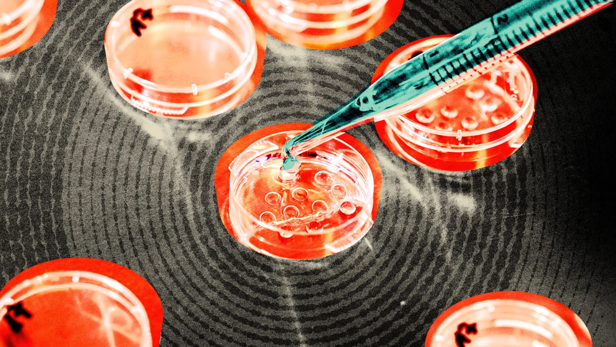 Wp Header Logo 4442.png