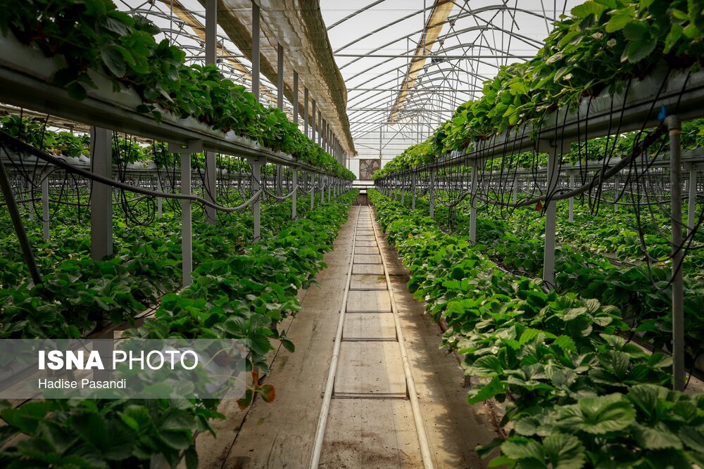 Wp Header Logo 4478.png