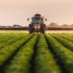 اصلاح مصوبه الگوی کشت نیازمند سالانه ۴۰ همت اعتبار است