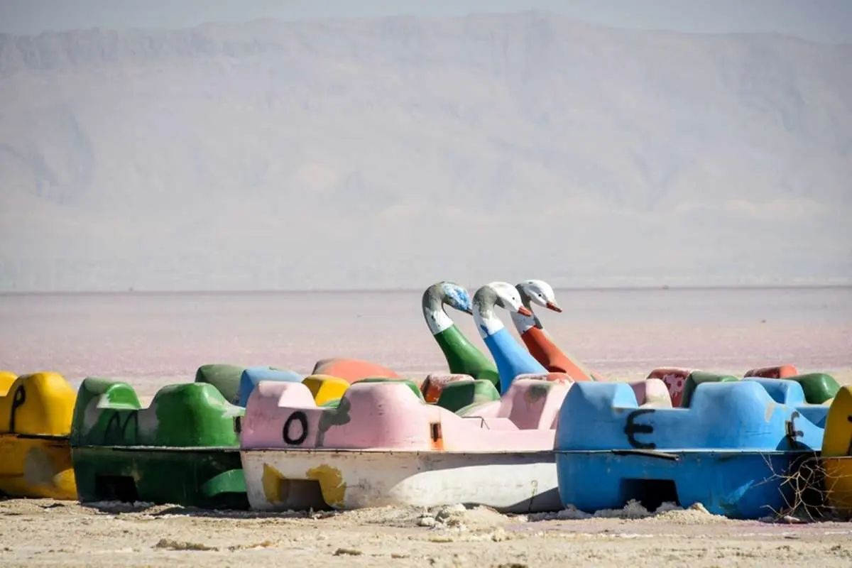 Wp Header Logo 4536.png