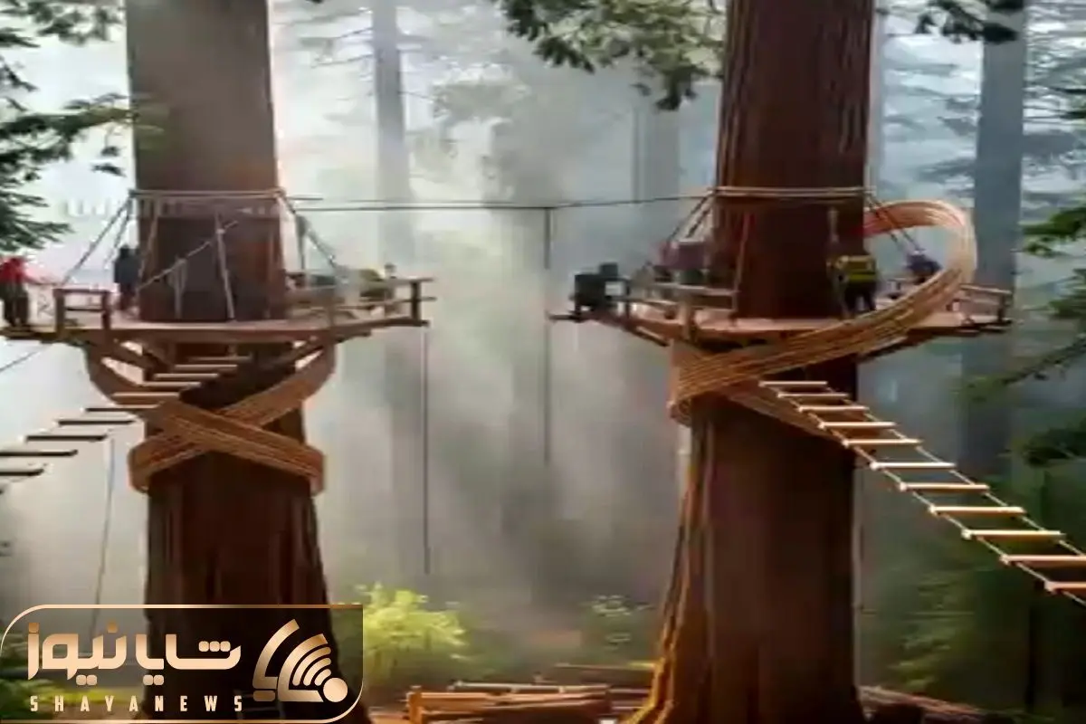 Wp Header Logo 4593.png