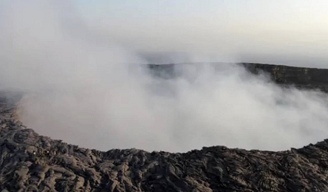 Wp Header Logo 4602.png