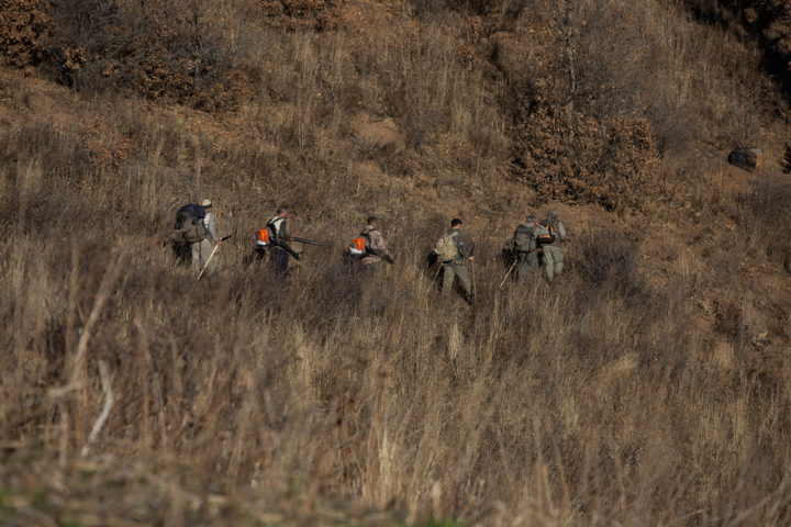 Wp Header Logo 4616.png