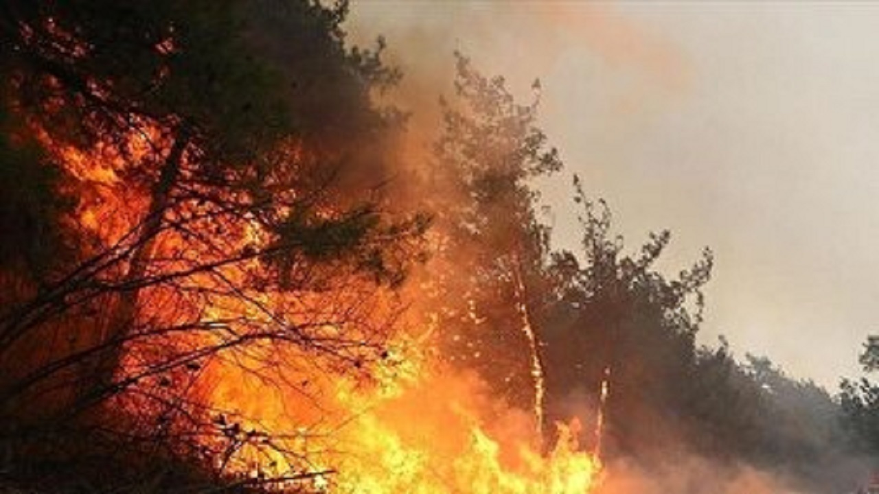 Wp Header Logo 4626.png