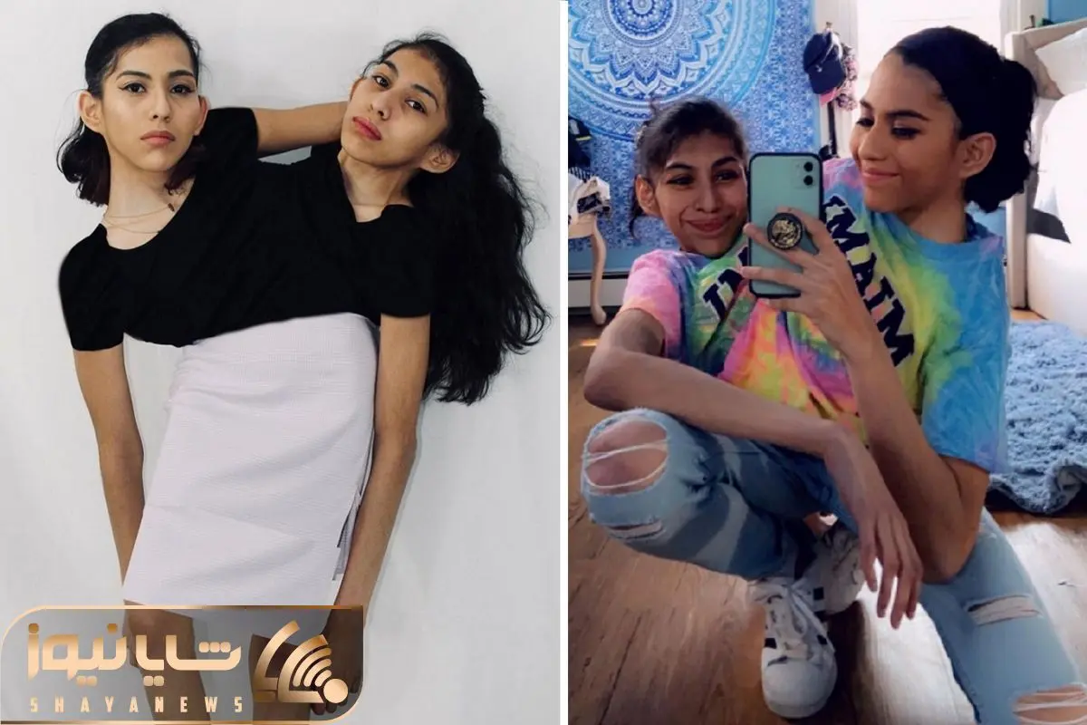 Wp Header Logo 4631.png