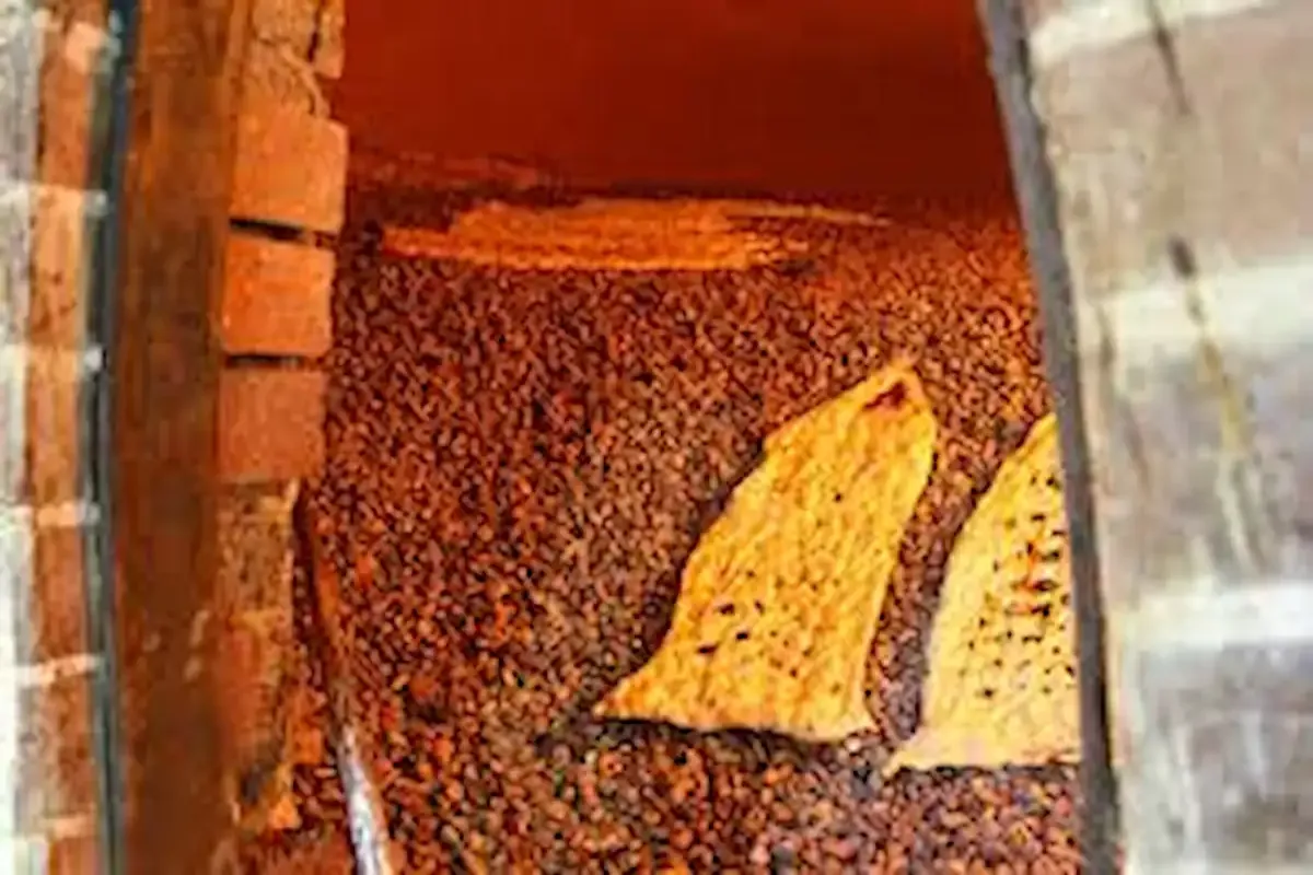 Wp Header Logo 4669.png