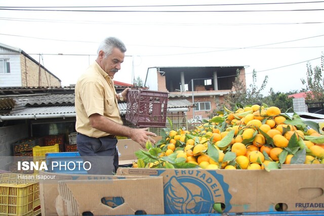 Wp Header Logo 4672.png