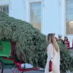 استقبال ملانیا ترامپ از درخت کریسمس در کاخ سفید