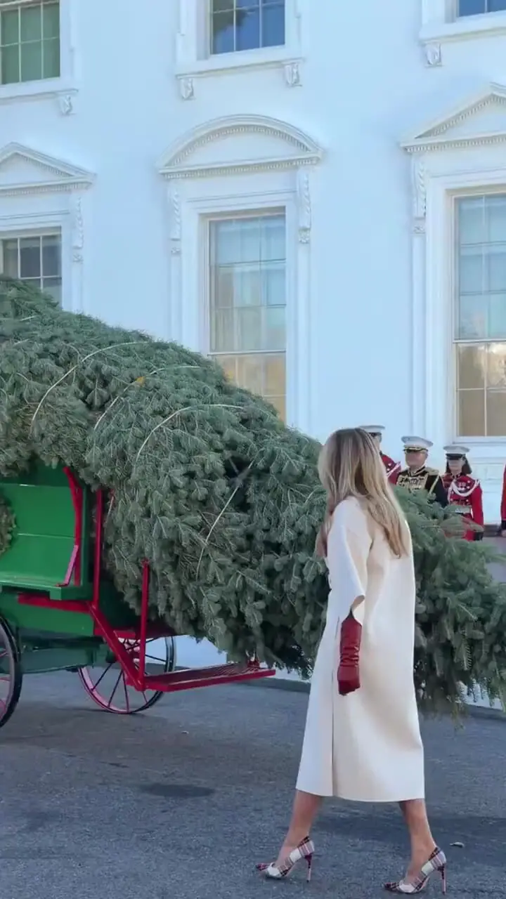 Wp Header Logo 4679.png