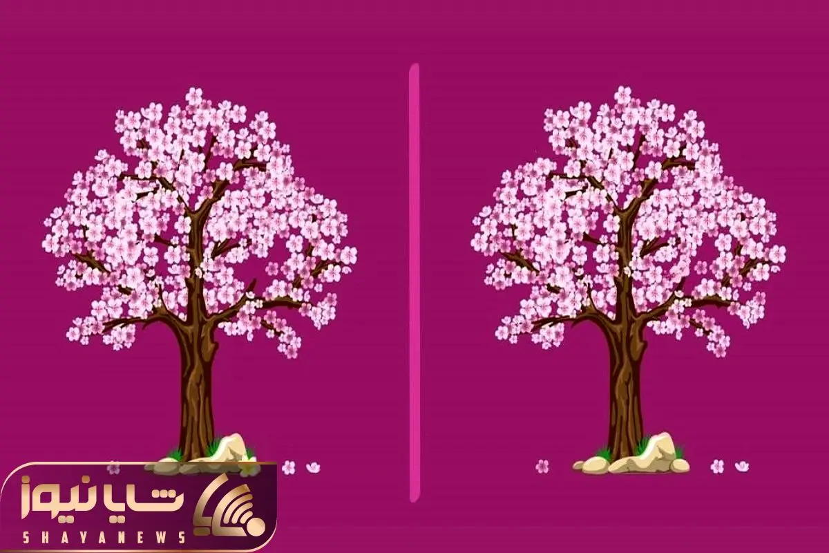 Wp Header Logo 4685.png