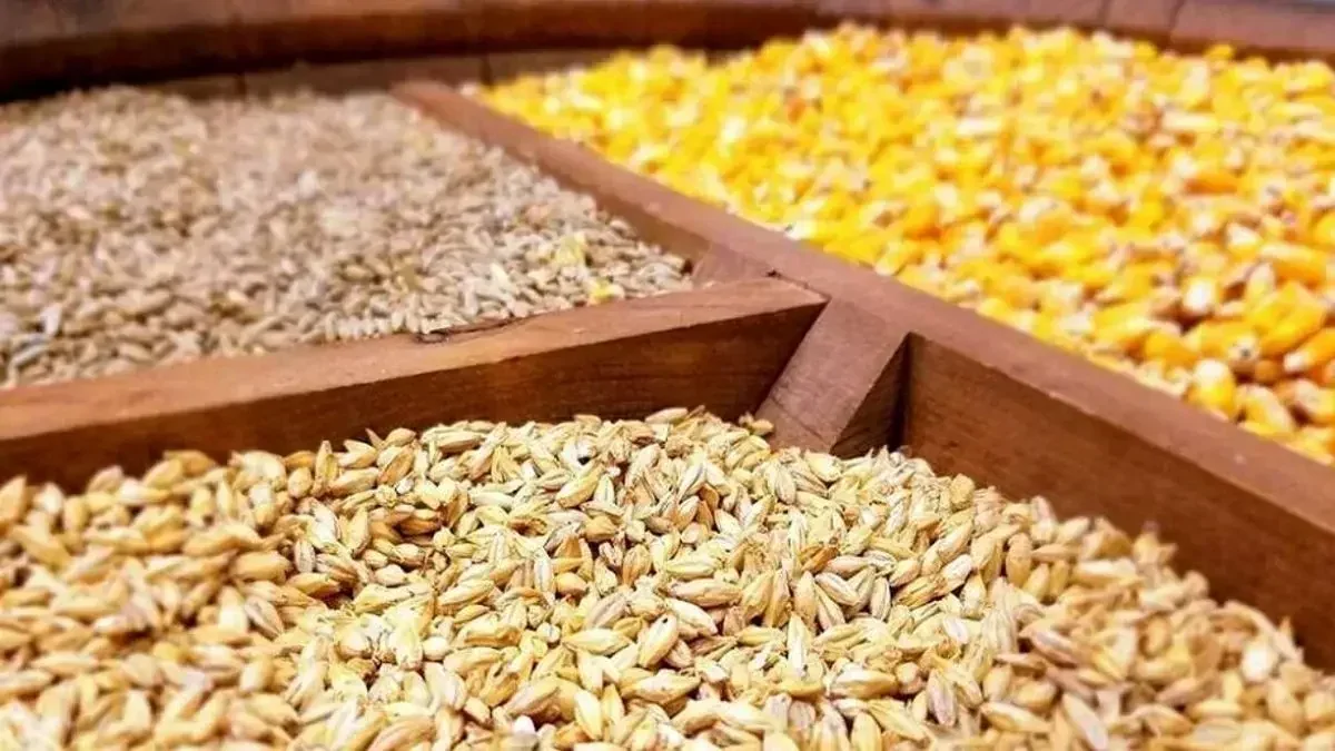 Wp Header Logo 4691.png