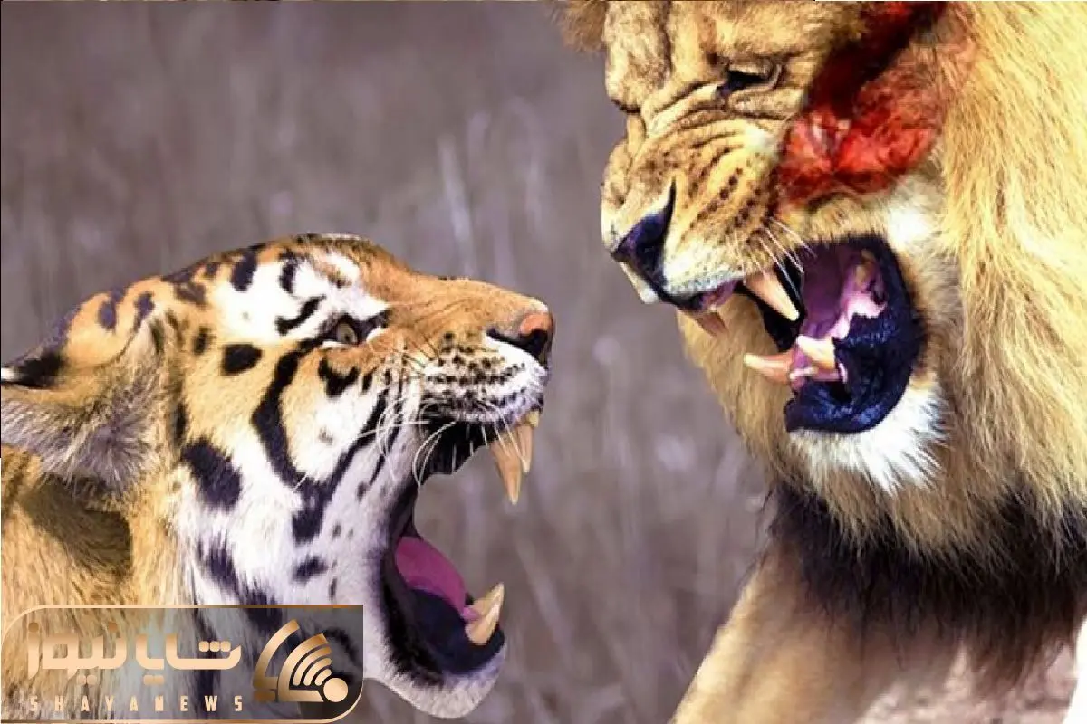 Wp Header Logo 4697.png