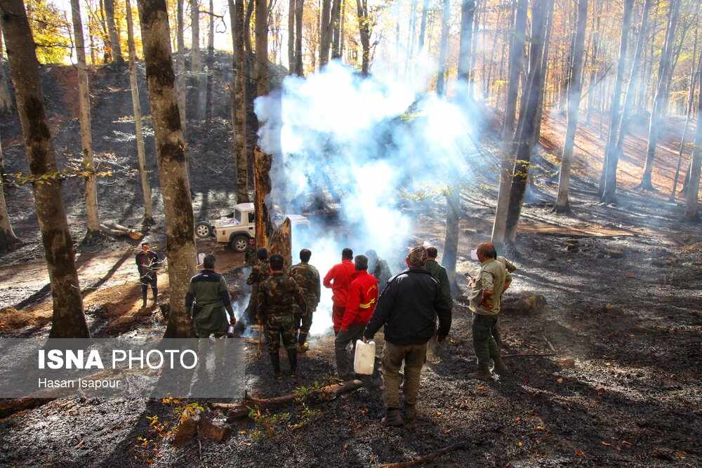 Wp Header Logo 4746.png