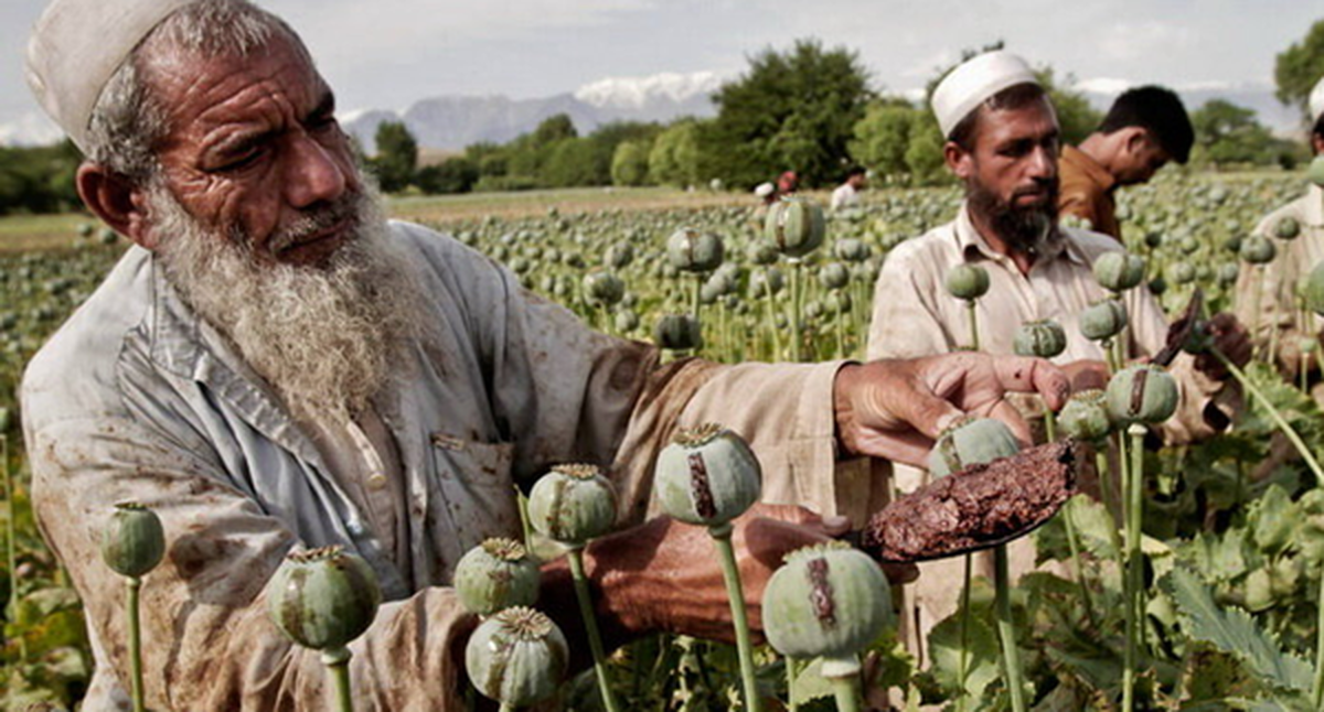 Wp Header Logo 4788.png