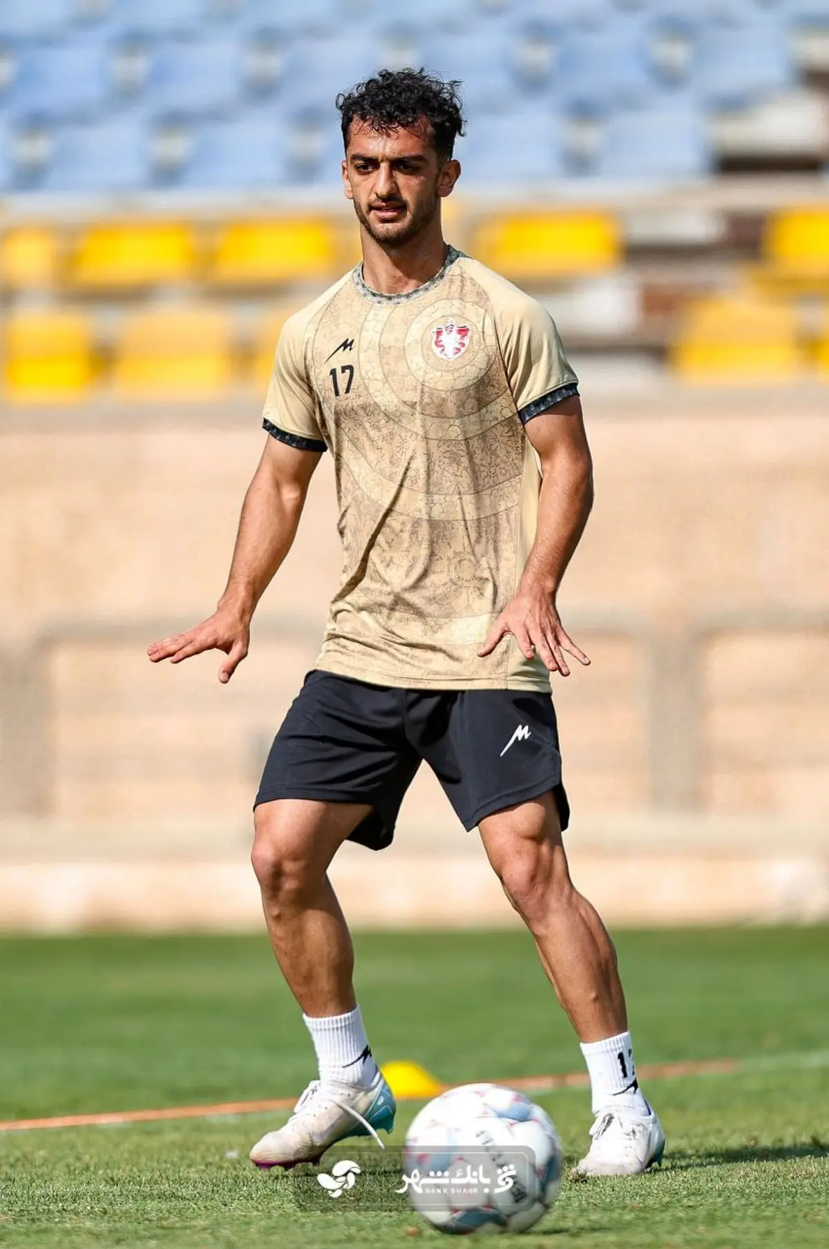 Wp Header Logo 485.png