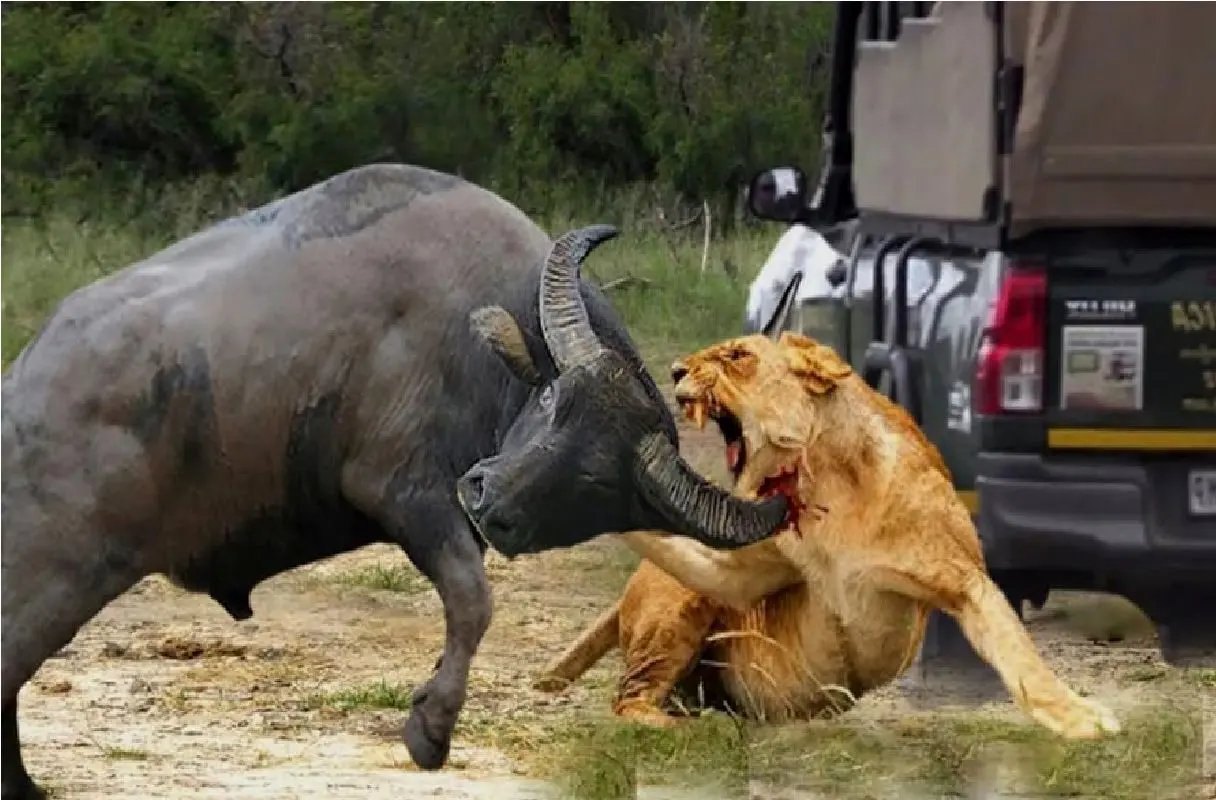 Wp Header Logo 486.png