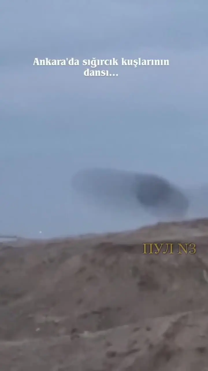 Wp Header Logo 4952.png