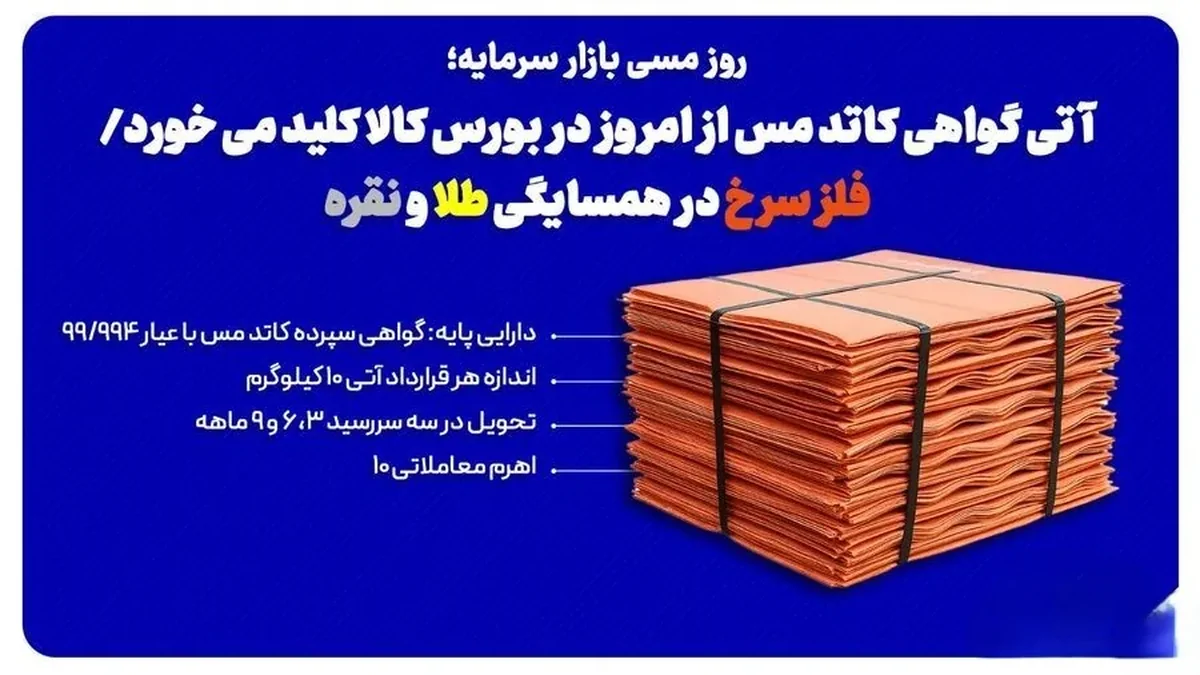 Wp Header Logo 4964.png