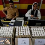 قیمت تخم‌مرغ دوباره رکورد زد