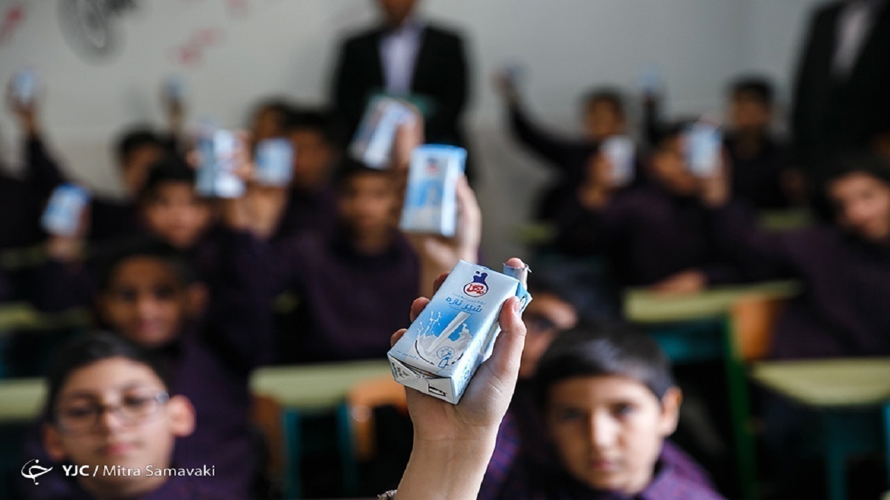 Wp Header Logo 511.png