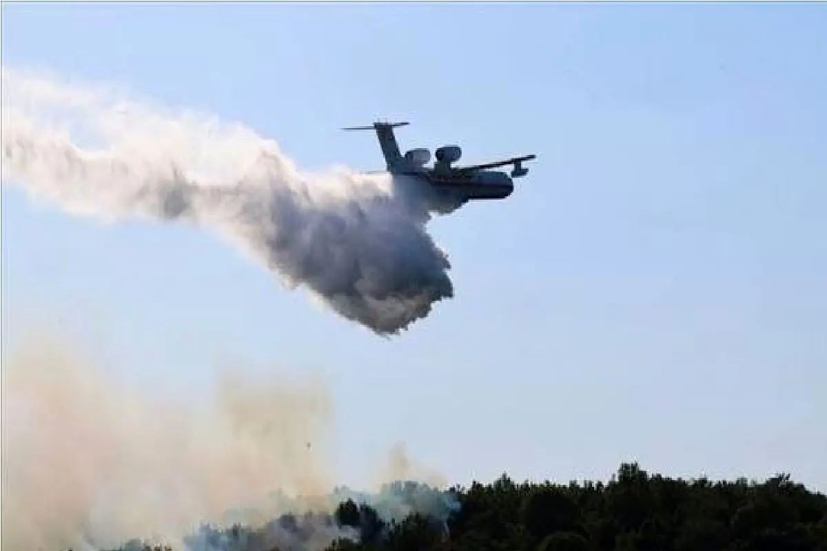 Wp Header Logo 5157.png