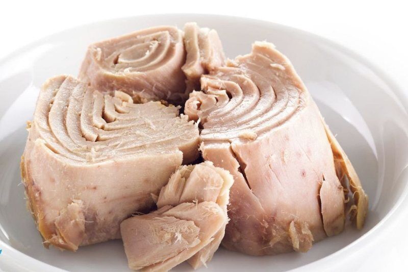 Wp Header Logo 518.png