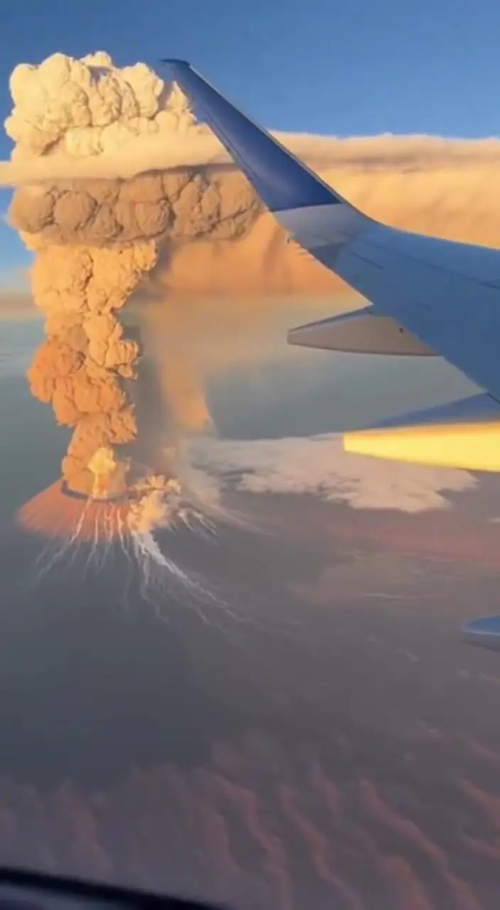 Wp Header Logo 5251.png