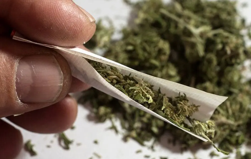 Wp Header Logo 5286.png