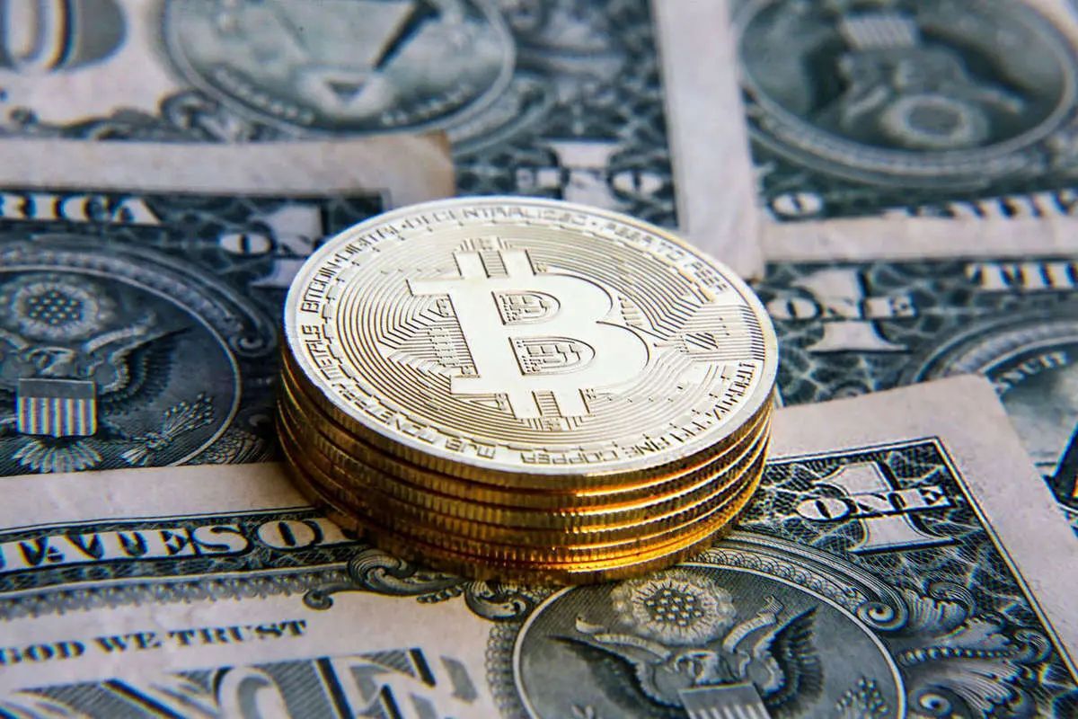 Wp Header Logo 5302.png