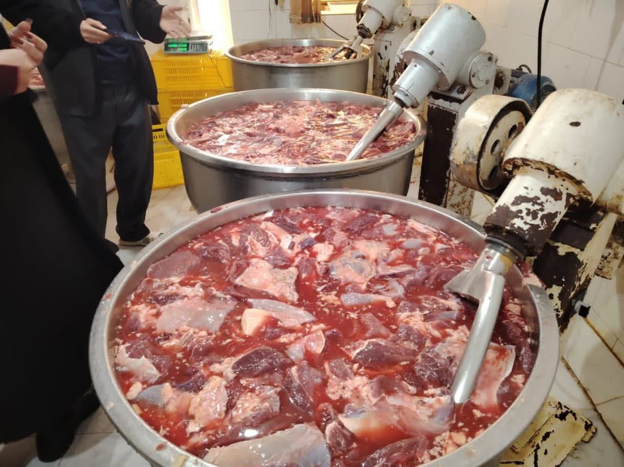 Wp Header Logo 5441.png