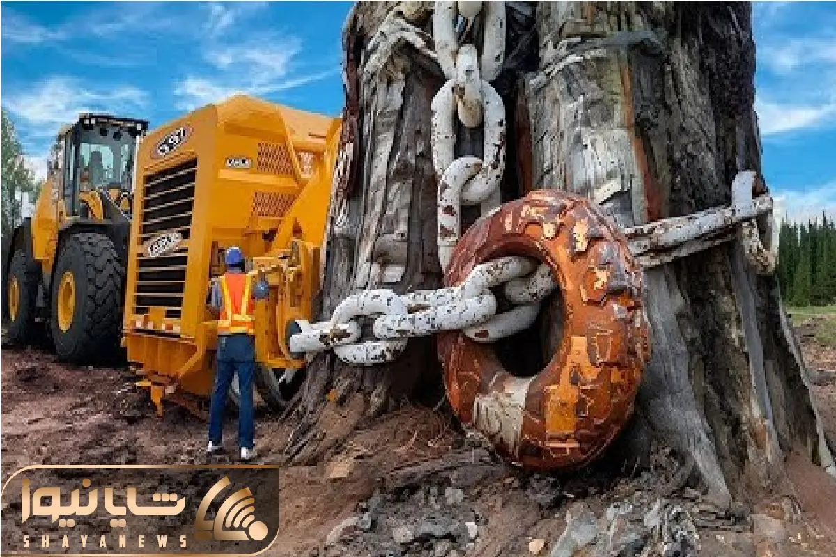 Wp Header Logo 5471.png