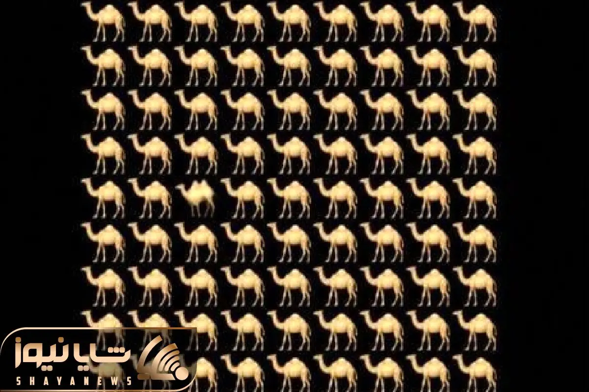 Wp Header Logo 650.png