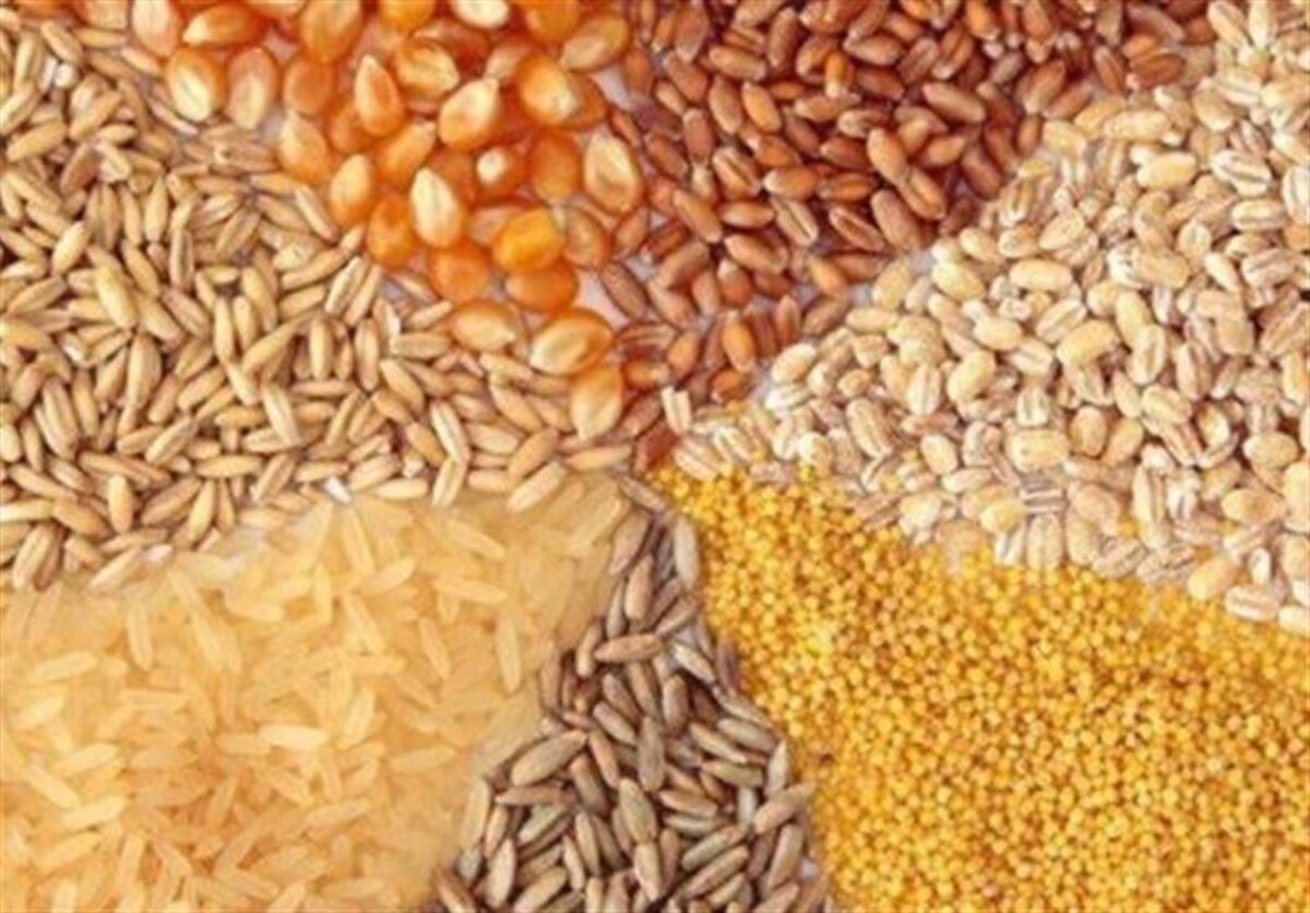 Wp Header Logo 67.png