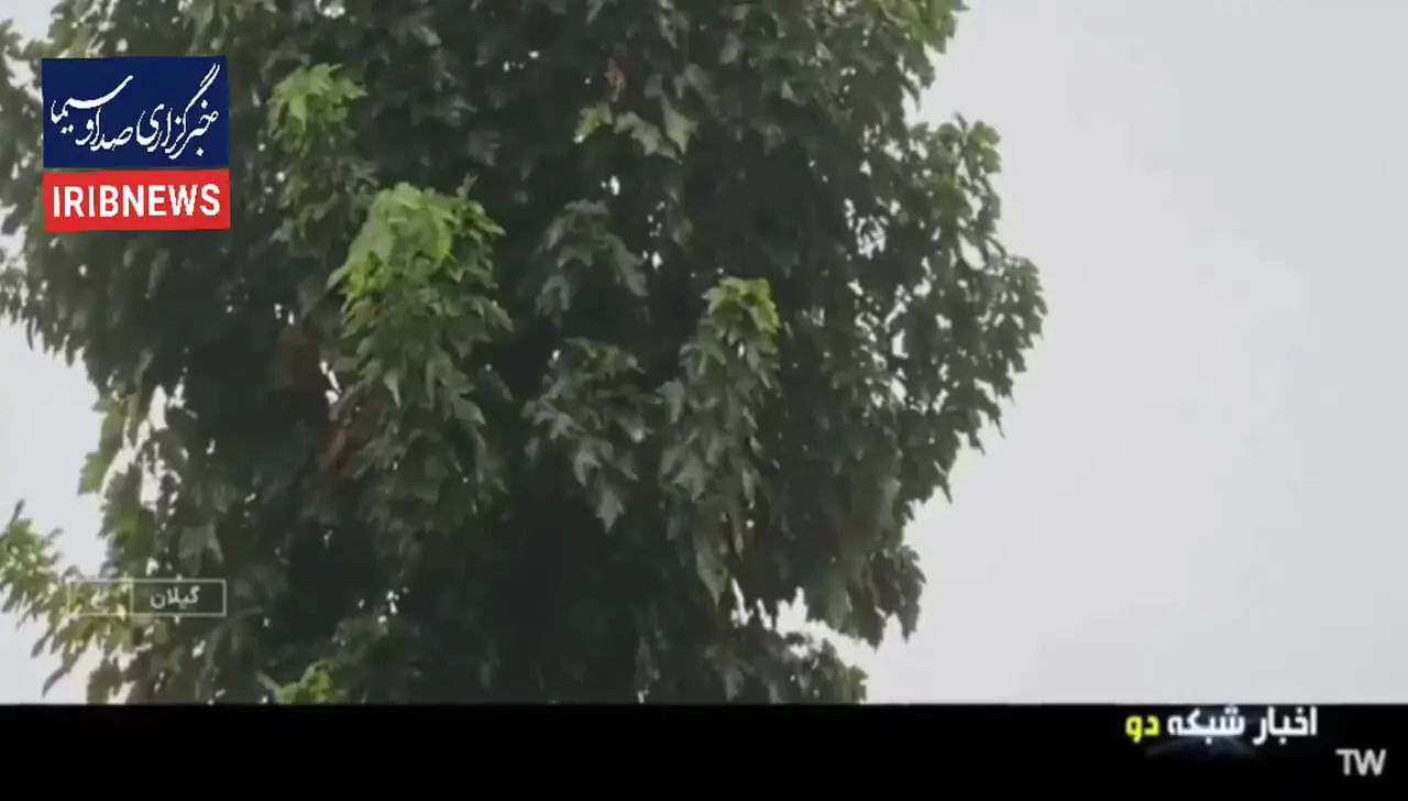 Wp Header Logo 692.png